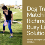 Finding a Dog Trainer In Richmond That Works With Your Busy Lifestyle